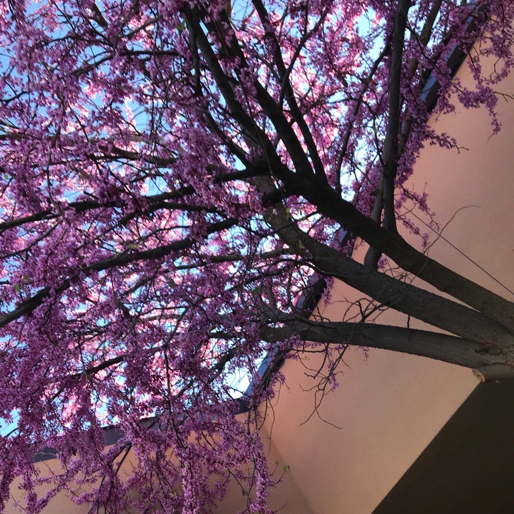 Meet your Posher, Cristin